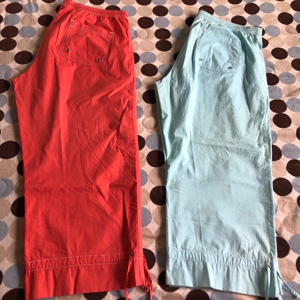 Pair of Danskin lightweight clam diggers